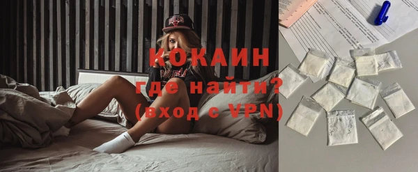 стаф Новодвинск