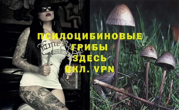 ПСИЛОЦИБИНОВЫЕ ГРИБЫ Новокубанск