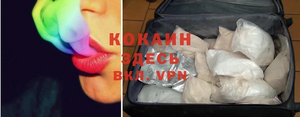 стаф Новодвинск