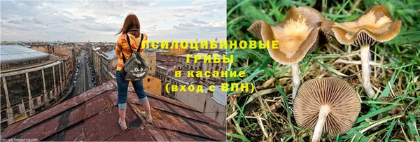 прущая мука Новозыбков
