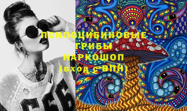 ПСИЛОЦИБИНОВЫЕ ГРИБЫ Новокубанск
