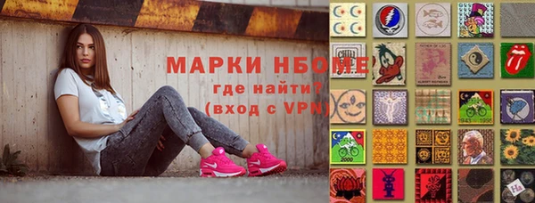 стаф Новодвинск