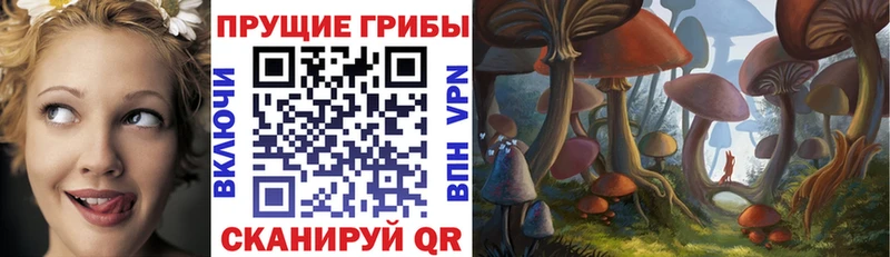 Псилоцибиновые грибы Magic Shrooms  где продают наркотики  Алапаевск 